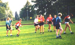 freien.jpg (21636 Byte)